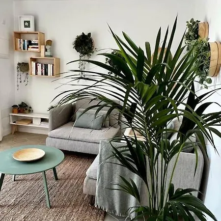 公寓 Lovely Casita Jade *